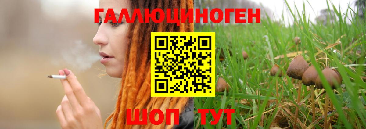 Псилоцибиновые грибы мицелий  Вход с VPN  Псилоцибиновые грибы ЛСД  как найти   Таганрог 