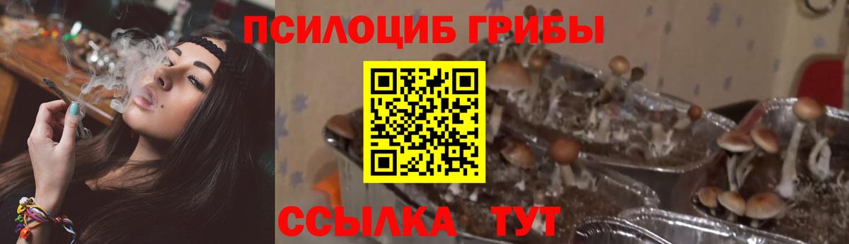 Псилоцибиновые грибы MAGIC MUSHROOMS Таганрог